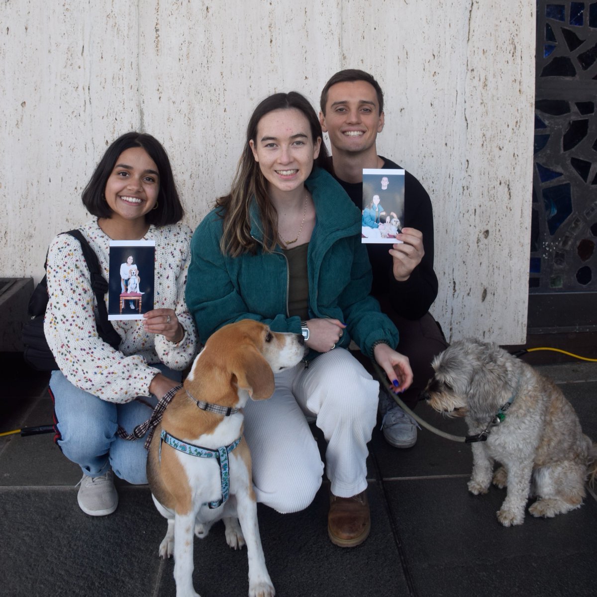National Library of Australia on Twitter "Who let the dogs out? Last
