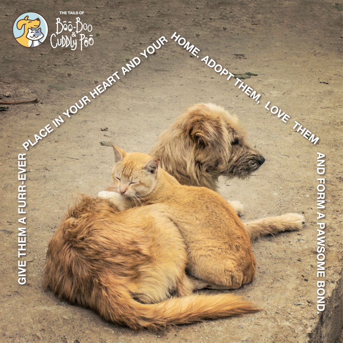 BooBooCuddlyPoo's tweet photo. Find love on the street - adopt a furry friend today and give them a forever home full of belly rubs and treats! 🐶🐱
#booboocuddlypoo #coexist #adoptdontshop #equalearth #animalslover #animallovers #animalloversclub #animalwelfare #comedy #spoof #Satire https://t.co/VUjwpLUcnv