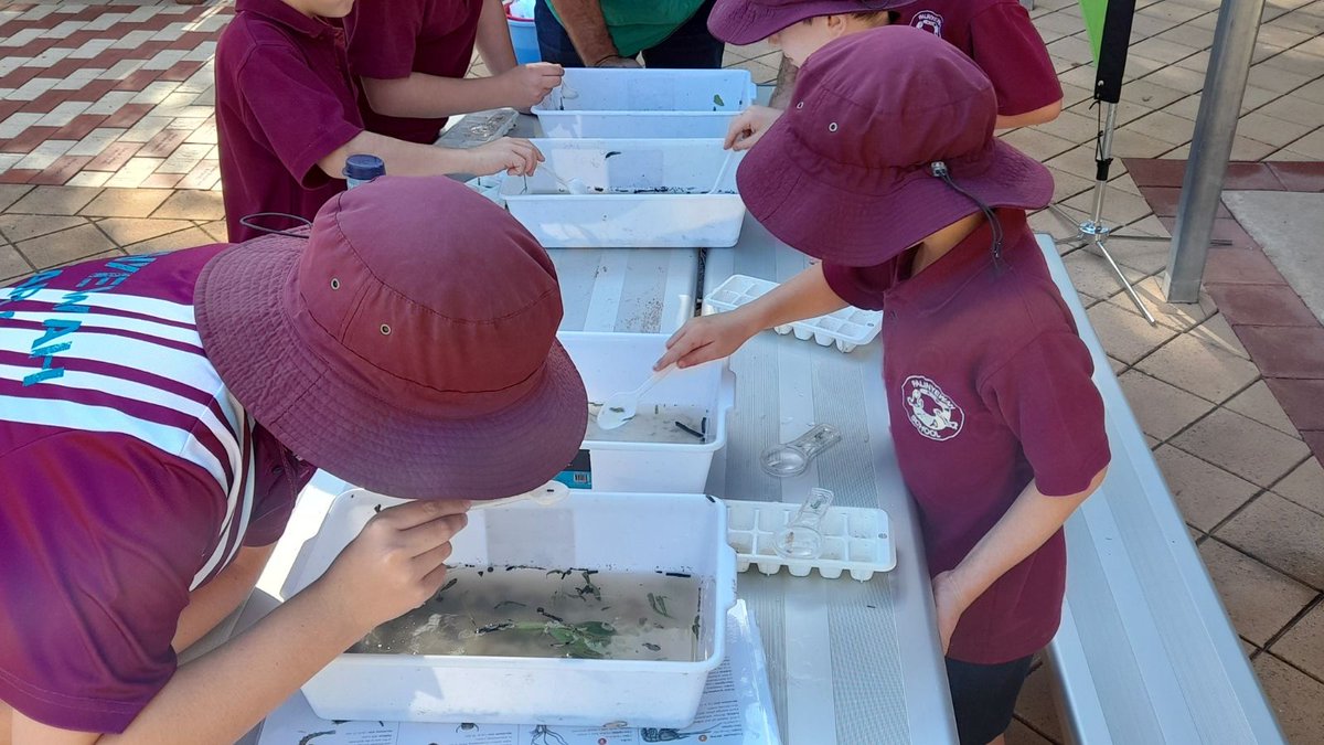 🏫Children at remote primary schools along the Darling-Baaka River have learned more about river ecology thanks to an education program delivered by @WL_NSW with funding from an NRAR enforceable undertaking.

Read more:  bit.ly/3NL8SJg