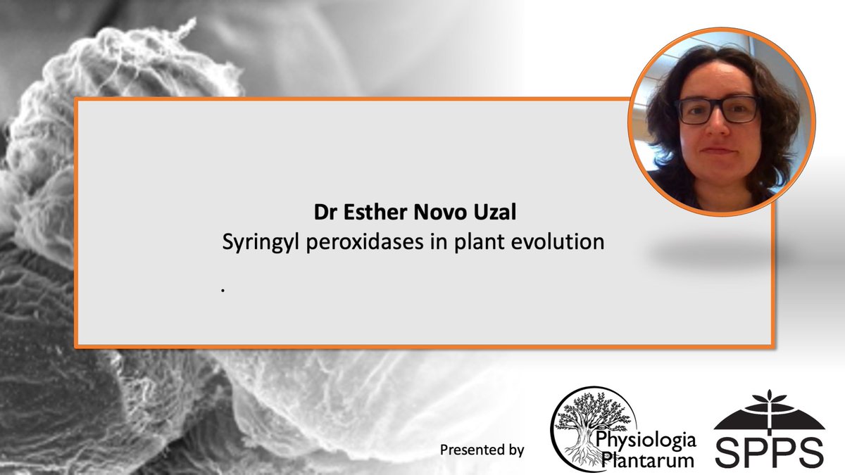 Physiologia Plantarum tweet media