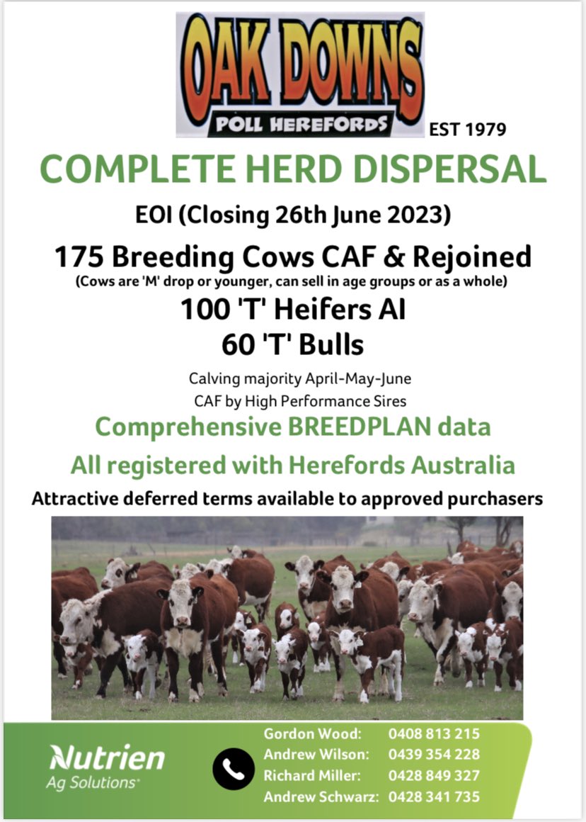 Gordon Wood tweet media