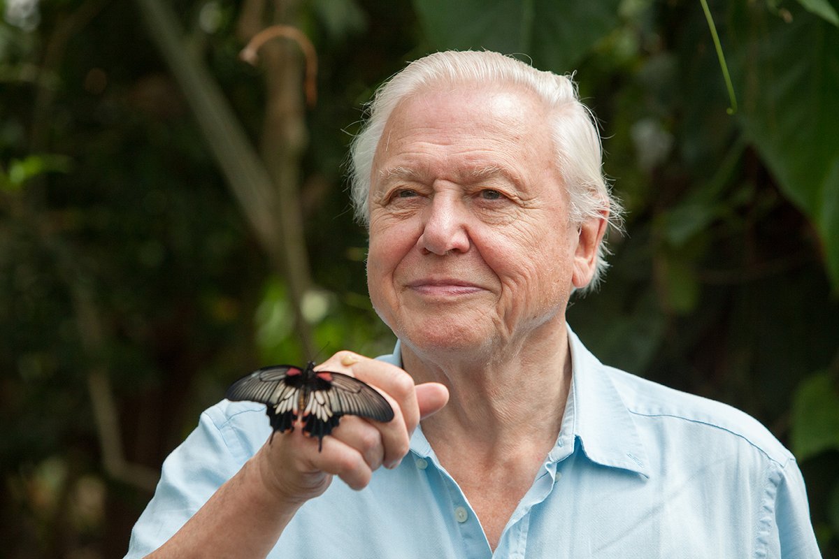 We'd like to wish a very Happy Birthday to our President, the wonderfully inspiring, Sir David Attenborough 🎂
