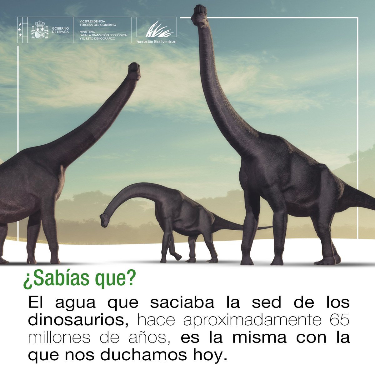 Fundación Biodiversidad tweet media