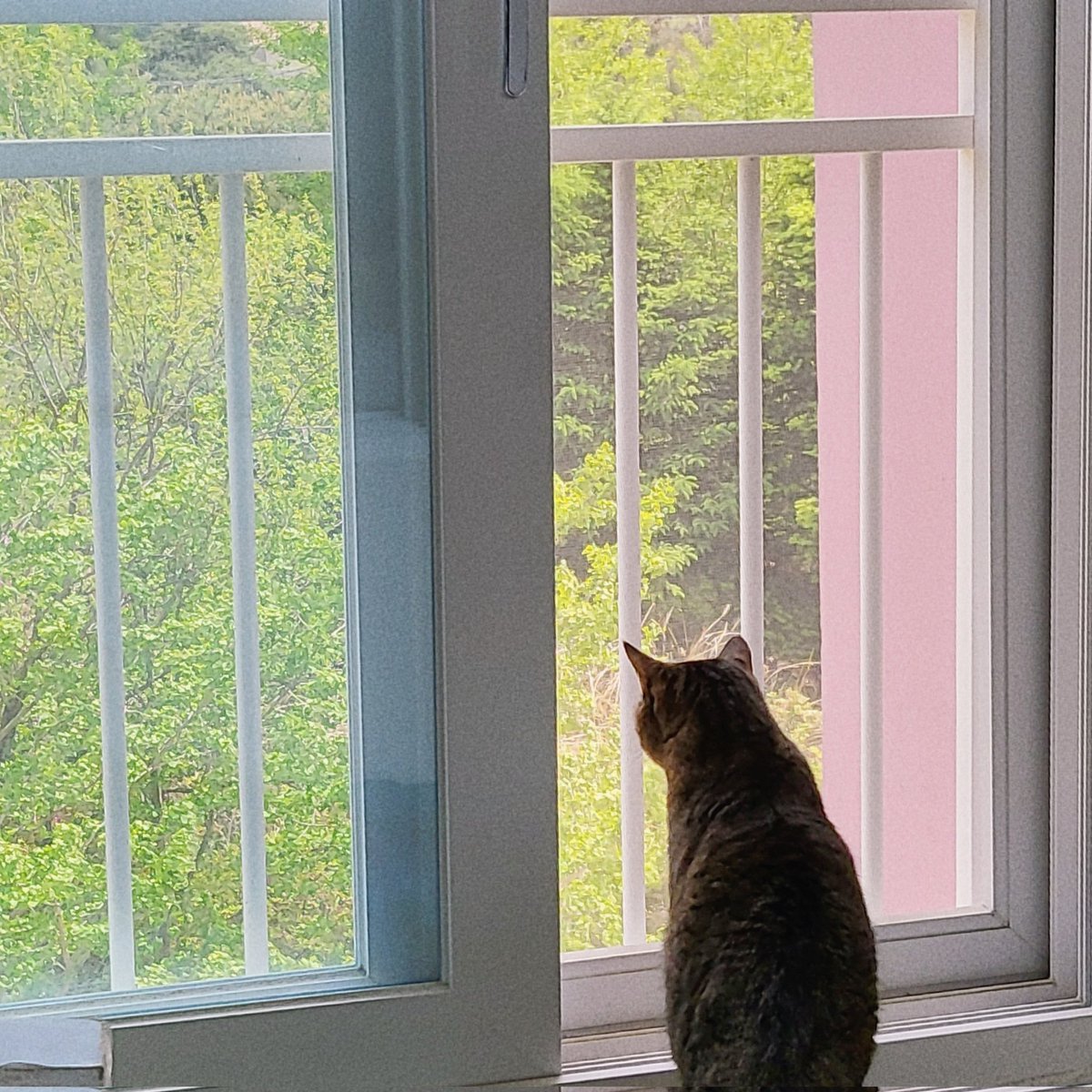 매일 보고싶은 뒷모습