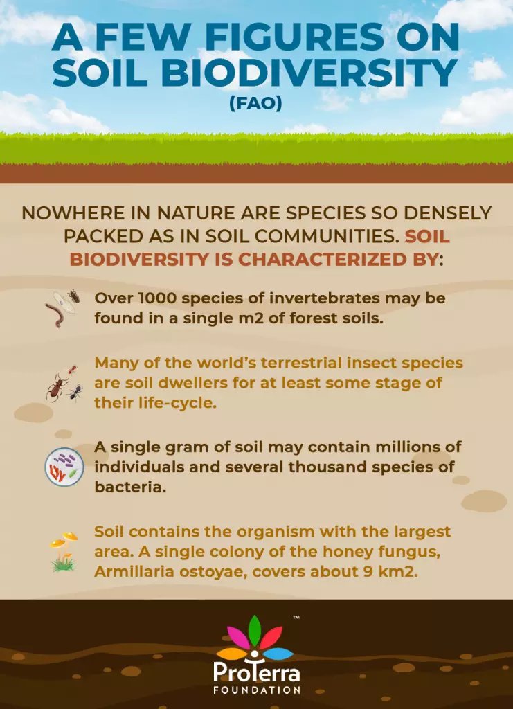 Healthy soil is one of the largest carbon sink. Reviving our soil can play a key role in halting the impact of climate change on biodiversity loss. Please join the global movement to save soil and biodiversity. 
👉SaveSoil.org #SaveSoil
@WWF_SpecEnvoy
@nanowellbeing