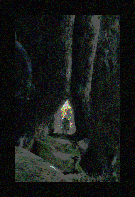 aneckdope's tweet image. ds2