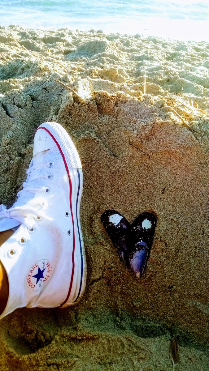 cateta3's tweet photo. @Converse @ClubMykonosLbn  gotta love the sun days. #love #chucks #Shellflove #waves https://t.co/tvH3oB932t
