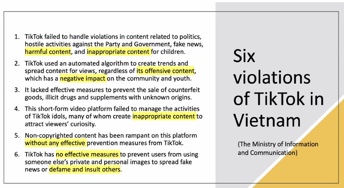 Vietnamese government weighs in on TikTok...from Viet Tho Le