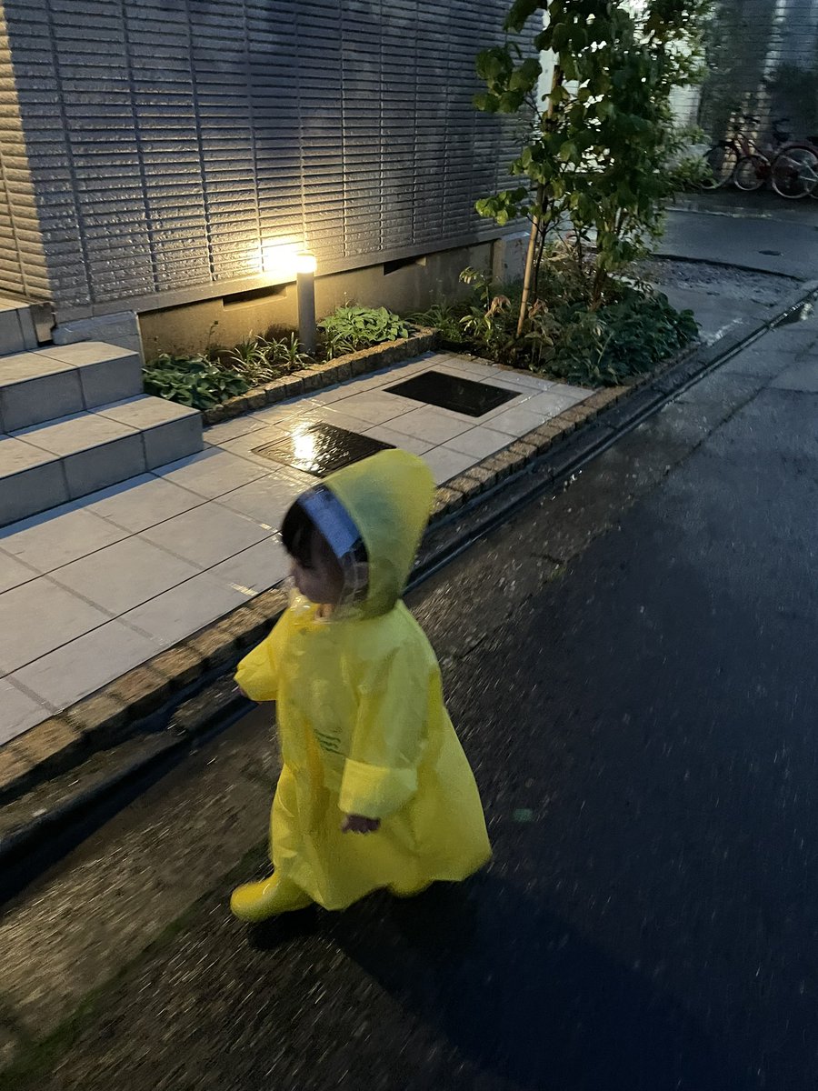 msp_O5ll's tweet photo. えまさん歩いての初めての雨の日のお散歩
楽しかったね
長靴なのにズボンも靴下もびちょこだね😭🤍 https://t.co/4aHYEK6mRk