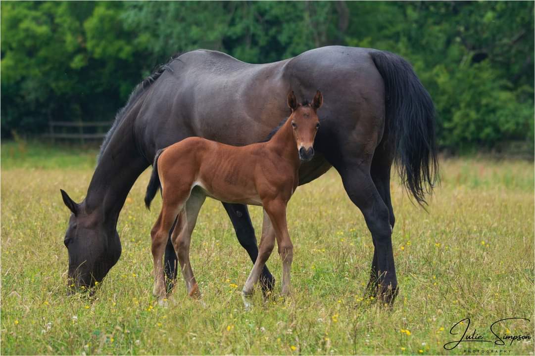 Helen Yeulet tweet media