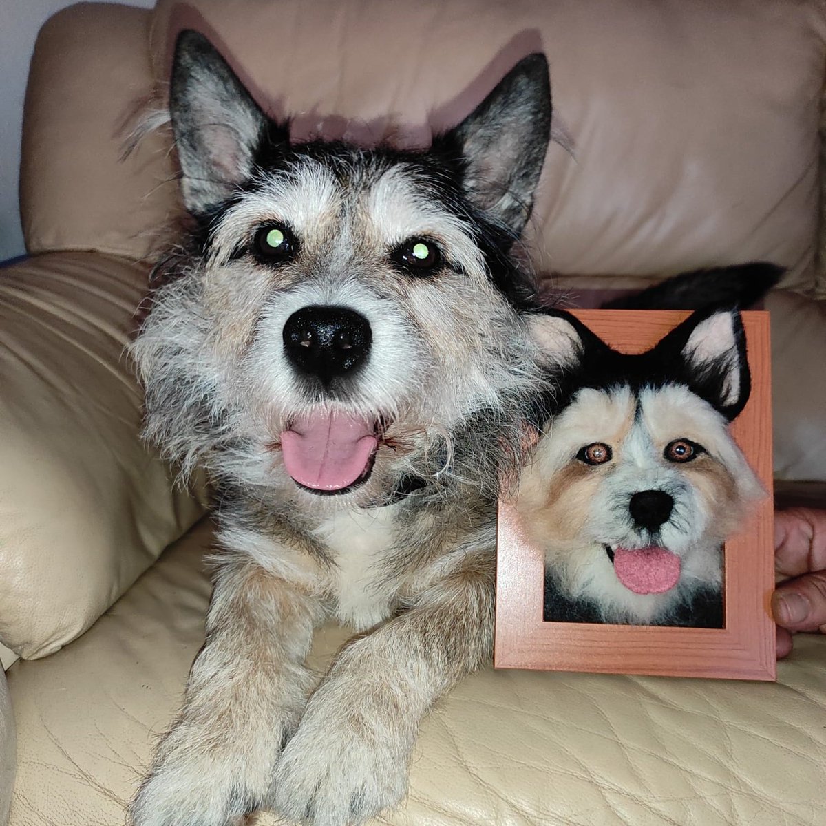 Remy_Made's tweet photo. Hago recordatorio de que sigo haciendo retratos de vuestras mascotas, cuerpo entero o rostro, para inmortalizar a los que nos acompañan y a los que se han ido 💙
Mándame MD sin compromiso 🐣
Se agradece difusión 🐾 https://t.co/g6kiGglyiW