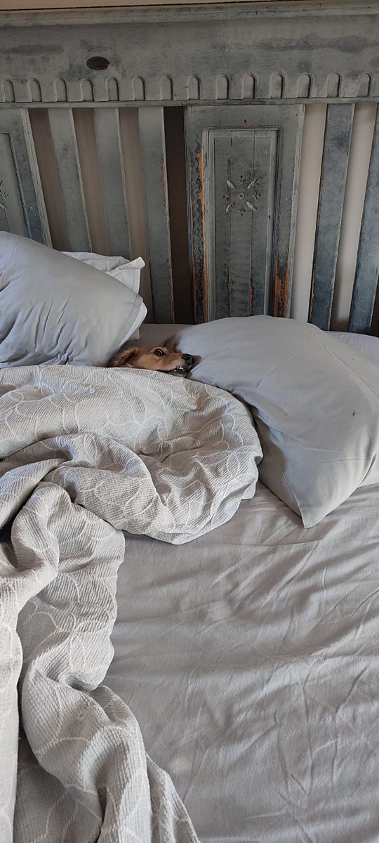 LuLu 🌍 tweet media