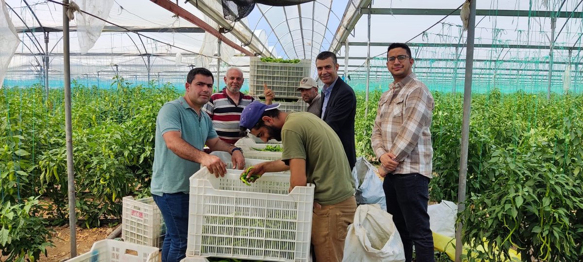 FesasP's tweet photo. Tekke Agricultural Credit Cooperative Partner Mahmut Çıplak provides employment with project supports. We visited the farmer.
#FESAS
#Tarımdaİstihdam
#ÇiftçimizinYanındayız
#İşçimizinYanındayız
European Union in Türkiye
Türkiye Tarım Kredi Kooperatifleri
World Bank Türkiye https://t.co/gNRzXE8azq