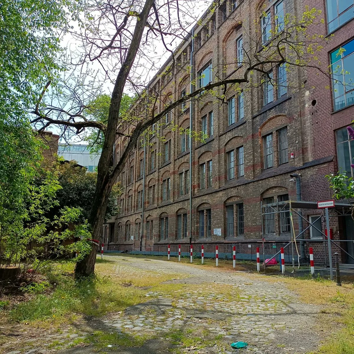 Offenes Haus der Kulturen tweet media