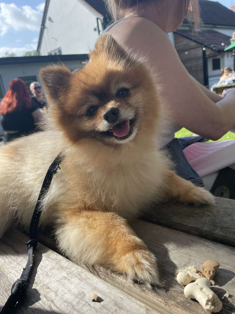 zRvkk 🌪️ tweet media