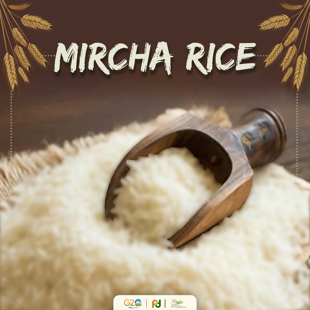 Indian Diplomacy on Twitter: 