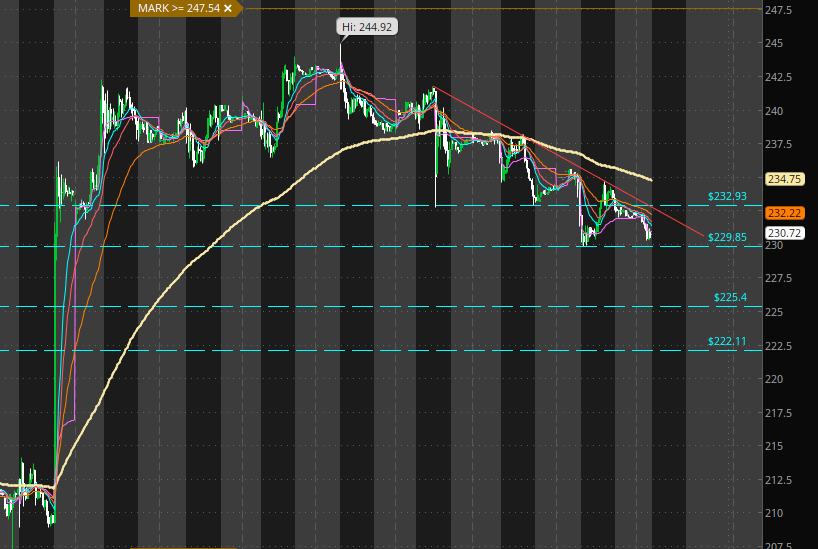 HeshTrades's tweet photo. $META
 Large gap to fill below 230.
Watching for puts to break below and hold as resistance. https://t.co/VgW7tAMJwr