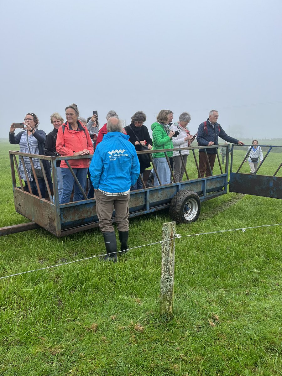 FarmToursCork's tweet photo. Busy morning showing our Dutch visitors around!! Thanks to @SpecialIreland and @CelticRossHotel . Even though it was foggy they enjoyed learning all about  Irish dairy and tasting  the products. #grasstomilk  #irishfarming https://t.co/v9DMws63Vo