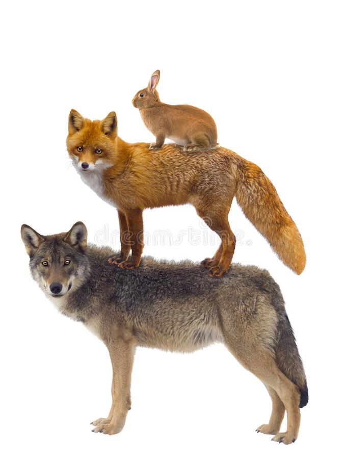 David Brown on Twitter "RT TDotResident ONpoli BREAKING Doug Ford