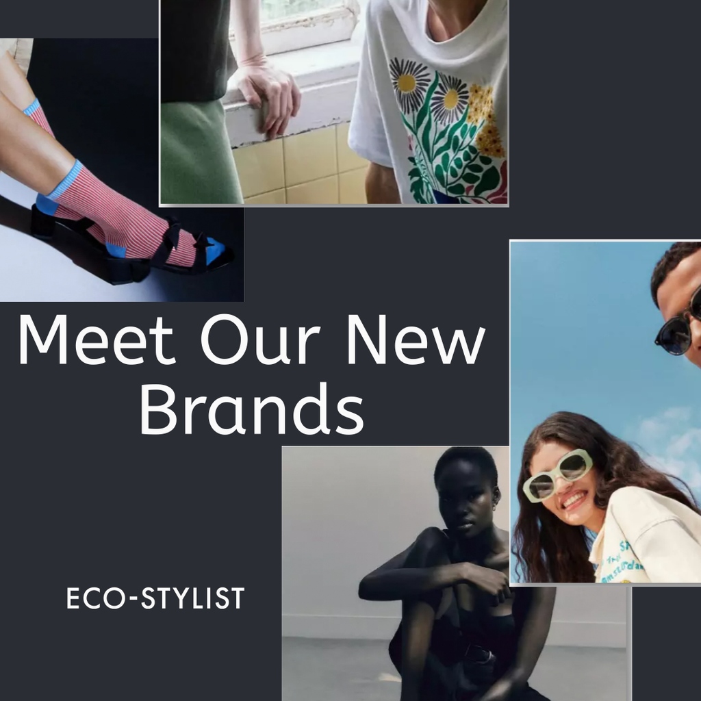 yourecostylist's tweet image. Meet our 4 newest sustainable brands: DillySocks, Ninety Percent, Dedicated, and Scotch &amp;amp; Soda. Explore their ratings: eco-stylist.com/sustainable-br…

#sustainableclothes #sustainablefashion
#sustainableclothing