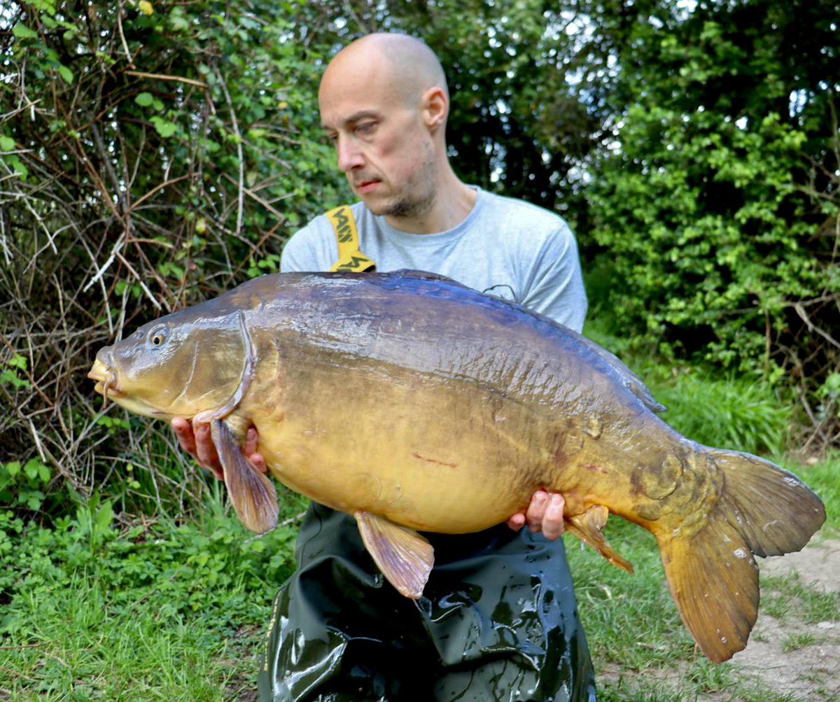 St Georges Lake tweet media