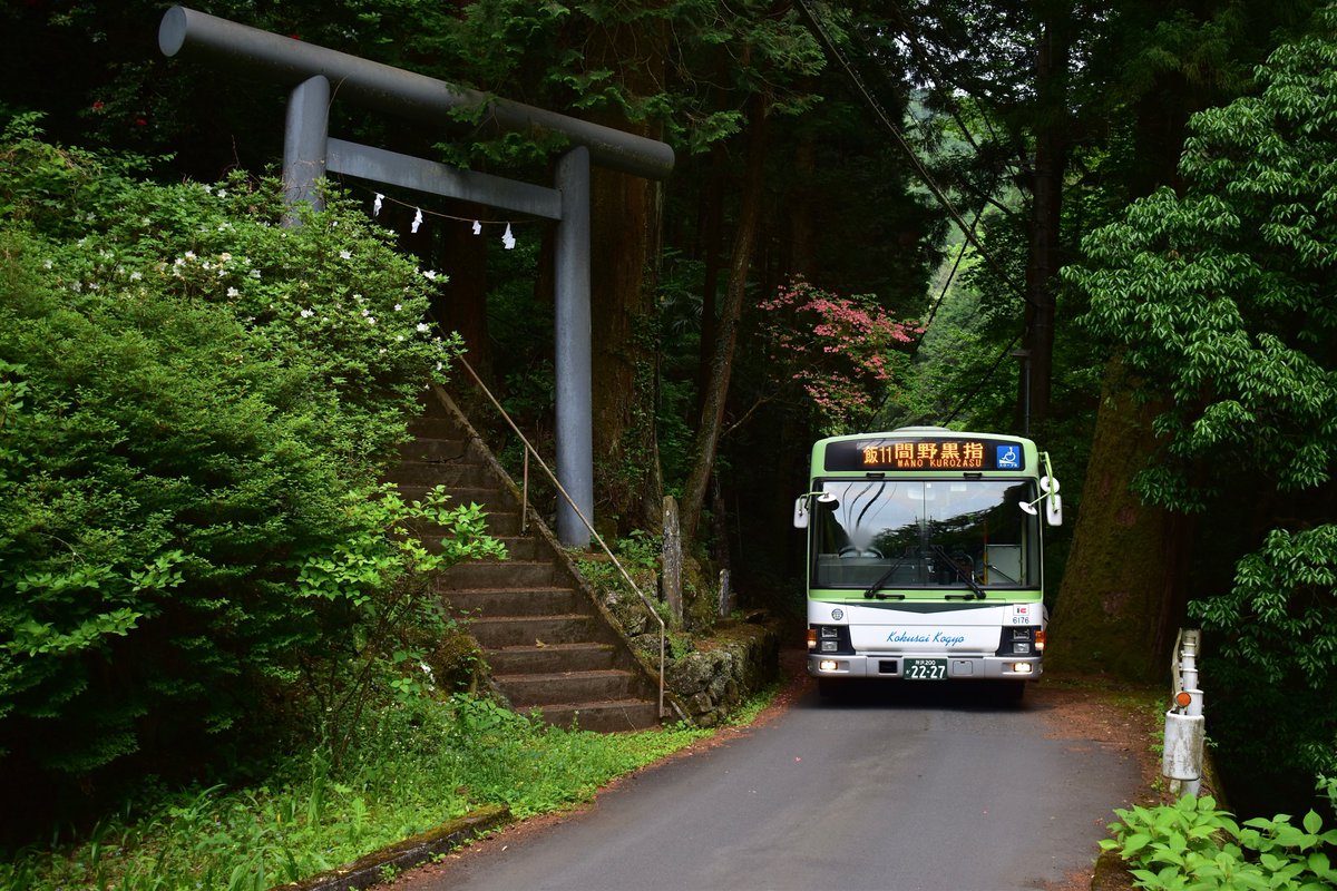 5931Hr's tweet photo. 2023/5/7

国際興業バス
6176号車（飯能）

おさんぽマーケット開催に伴い、この日に限り飯11が復活。KLも運用入りしました。飯11ならではの構図で撮れて満足です。お会いした方々、お疲れ様でした。 https://t.co/7735t5sEg5
