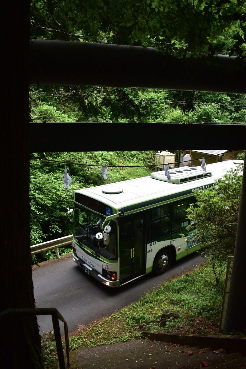 5931Hr's tweet photo. 2023/5/7

国際興業バス
6176号車（飯能）

おさんぽマーケット開催に伴い、この日に限り飯11が復活。KLも運用入りしました。飯11ならではの構図で撮れて満足です。お会いした方々、お疲れ様でした。 https://t.co/7735t5sEg5