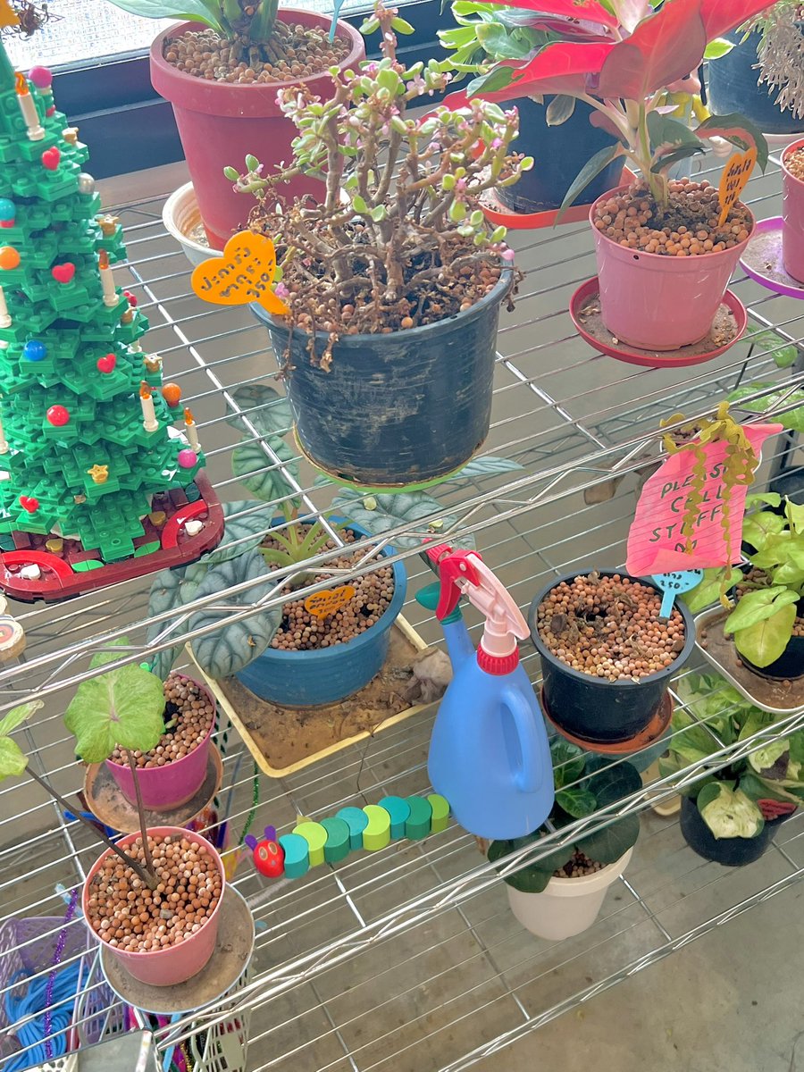 random🐬✨🍒🍄🍬