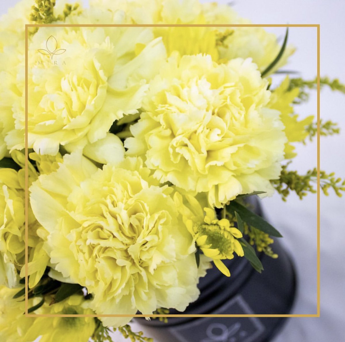MIRALEFLEUR's tweet photo. Yellow carnations symbolize love, gratitude, and admiration!

Preorder our premium arrangements now and let your mother figure know how much they mean to you! 💛 https://t.co/Vdlny60GvP