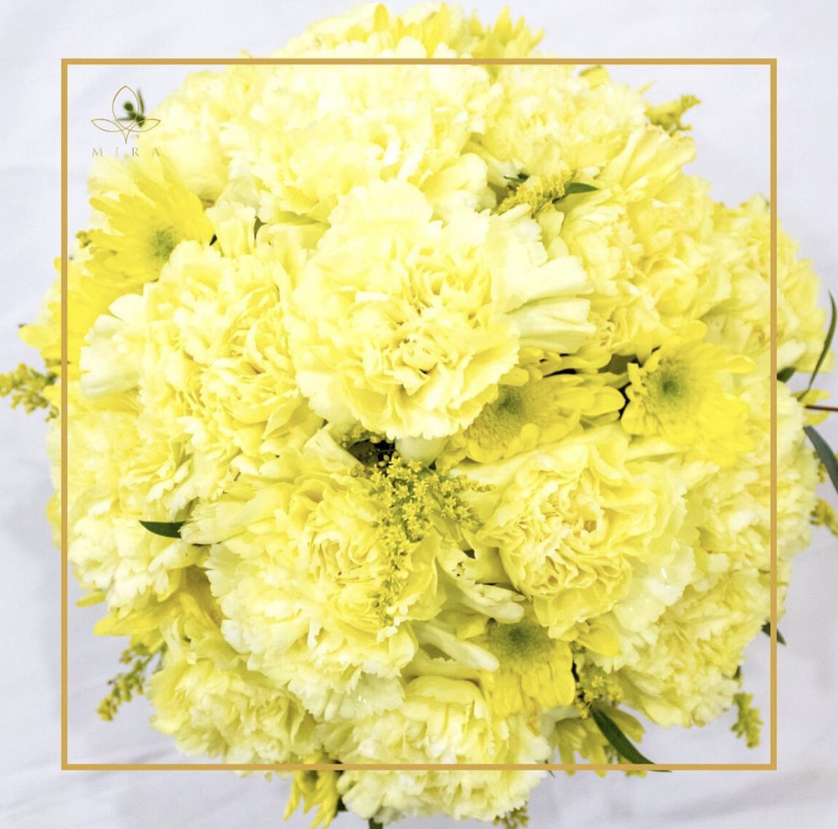 MIRALEFLEUR's tweet photo. Yellow carnations symbolize love, gratitude, and admiration!

Preorder our premium arrangements now and let your mother figure know how much they mean to you! 💛 https://t.co/Vdlny60GvP