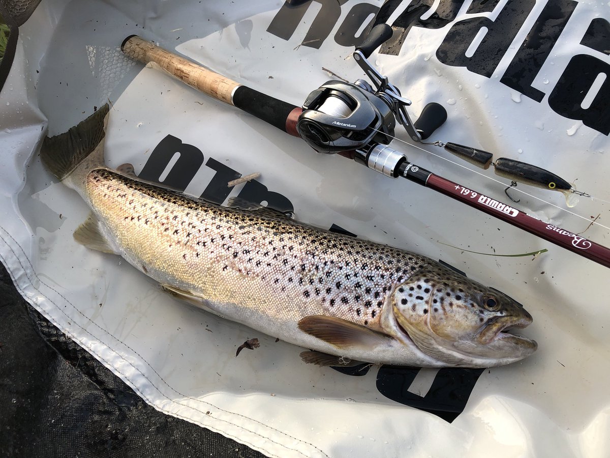 zisakukebari59's tweet photo. 日暮れ直前にドカンとブラウン56cm！100均で水を汲む用に買った袋が活躍✨やっぱりゴミ拾いすると釣れる😆

#北海道 #ルアーフィッシング #ベイトタックル #ブラウントラウト #Fishman #Beams #CRAWLA66Lプラス #SHIMANO #Metanium #ラパラ #ジョイントラパラ #リリースマット #次世代プロジェクト https://t.co/GZ84imD5ke