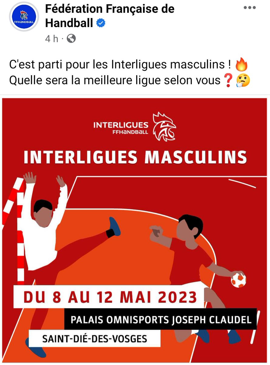 Section Handball Collège BALZAC ALENCON (@sectionbalzac) on Twitter photo 