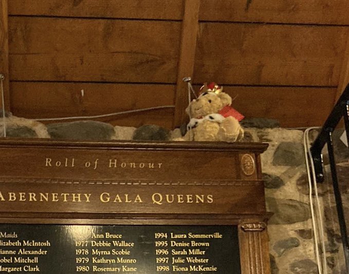 MuseumAbernethy's tweet photo. News just in! The person who finally found #CharlieBear is... Christopher Lawhead! Christopher, we've left a message with your grown up to come in and collect him - and thank you for helping us find the pesky wee bear! https://t.co/XTDEeHQ5wk