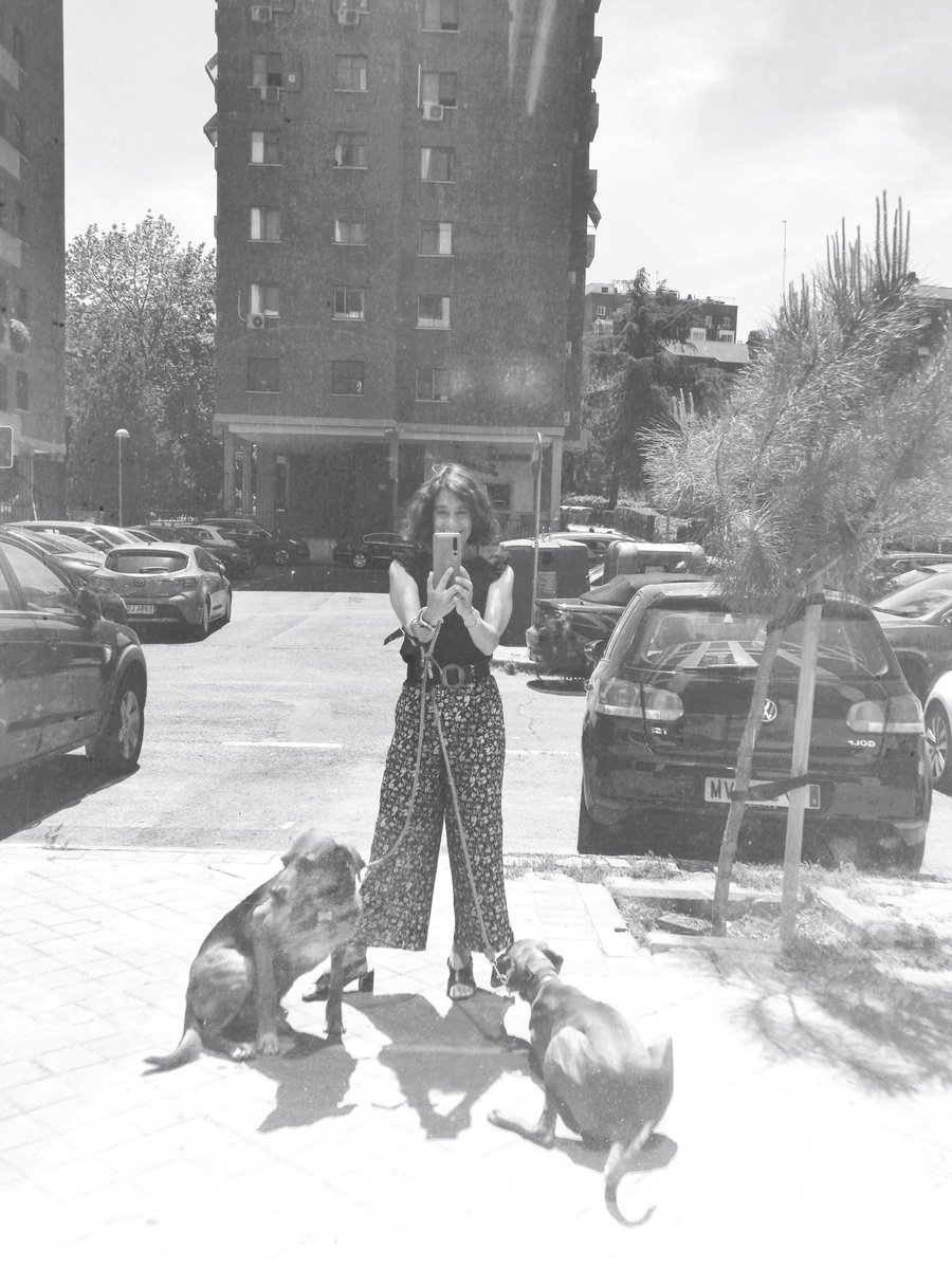 AnayElba's tweet photo. #urbandogs https://t.co/h8lIe2rQSO