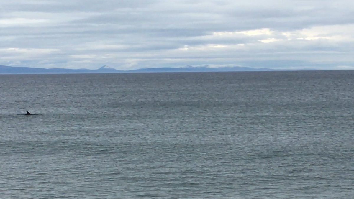 Vicky Butterby tweet media