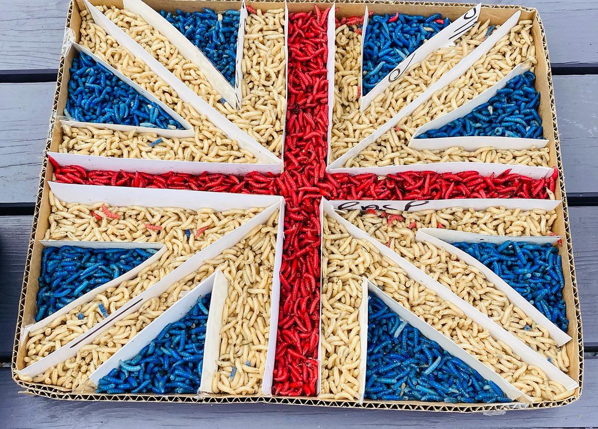 Partridge Lakes Fishery tweet media