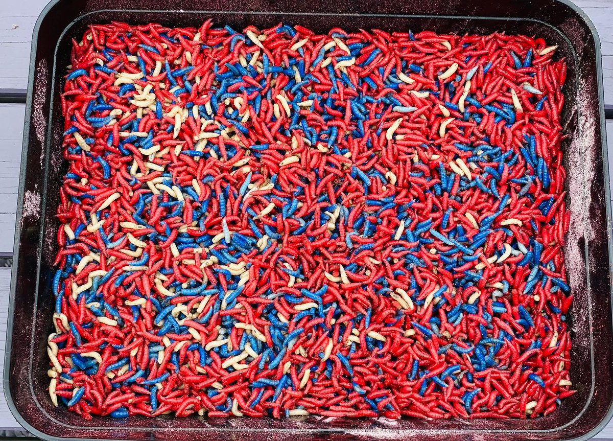 Partridge Lakes Fishery tweet media