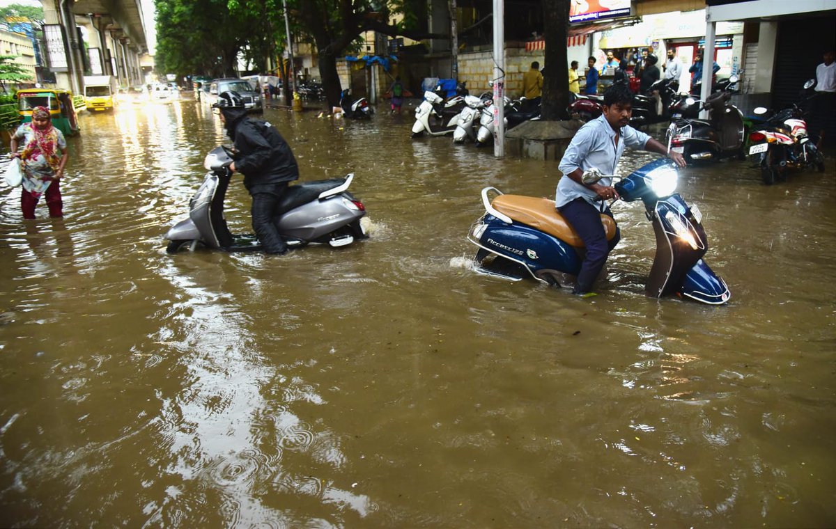 Petlee Peter tweet media