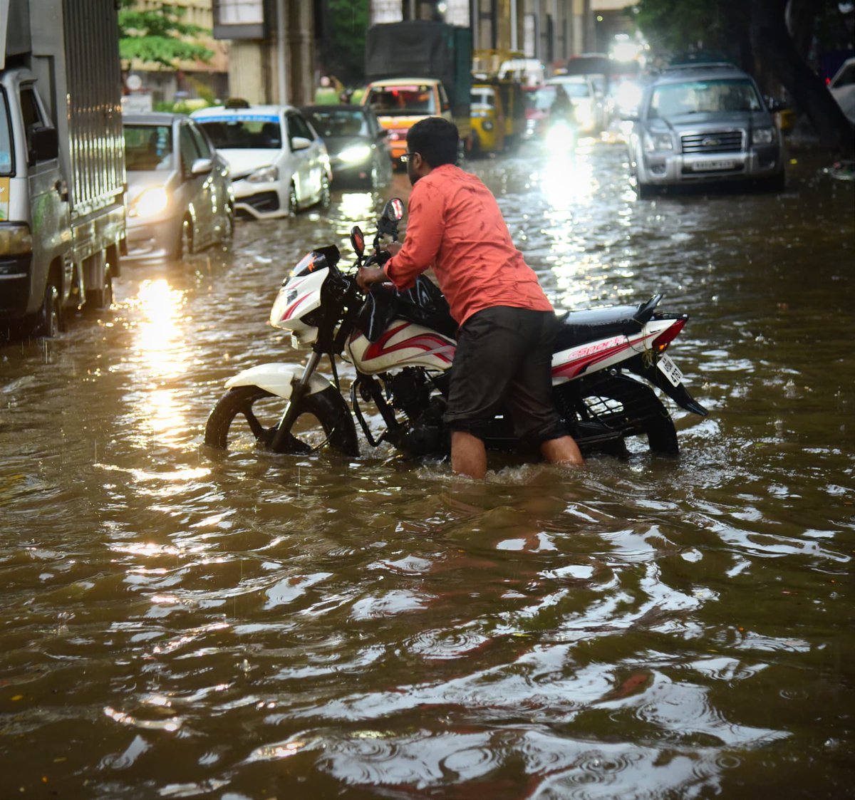 Petlee Peter tweet media