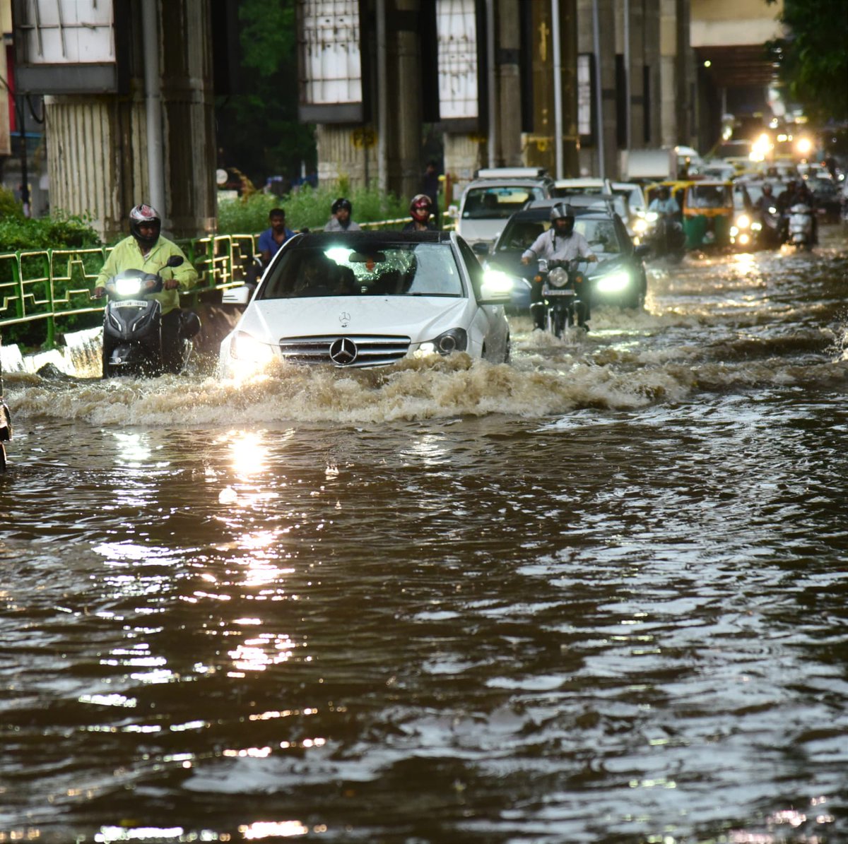 Petlee Peter tweet media