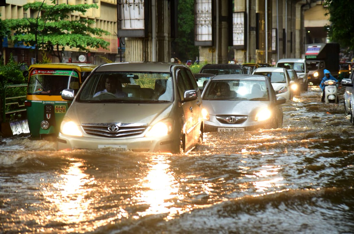 Petlee Peter tweet media