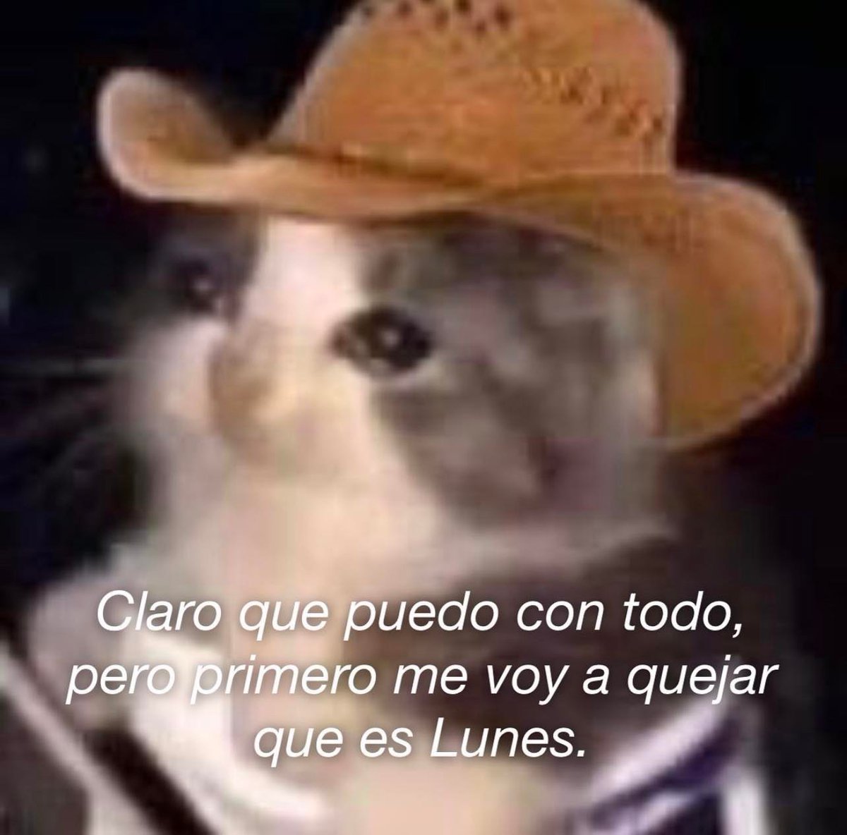 Guarromantico_'s tweet photo. https://t.co/vNmLASb2Vl