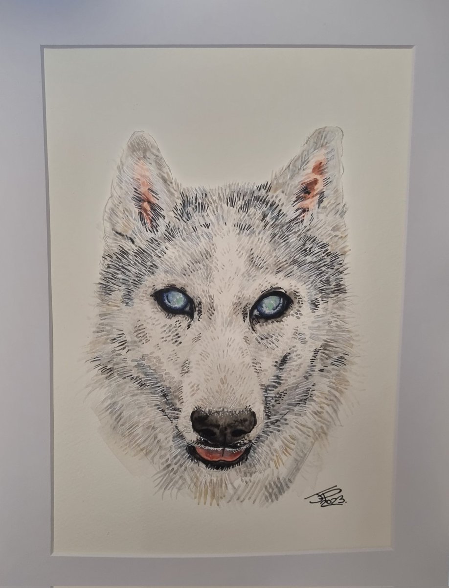 JPIllustrations tweet media