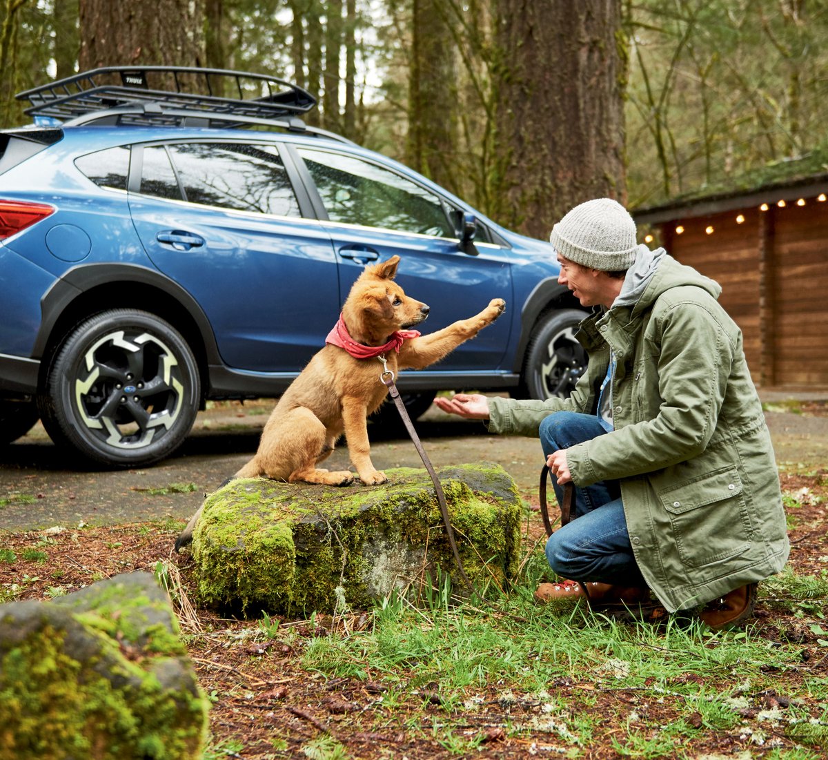 With a Crosstrek, you can count on plenty of adventures ahead; 97% of Crosstreks sold in the last 10 years are still on the road today. Get yours now at Bertera Subaru: bit.ly/3AV6zMj