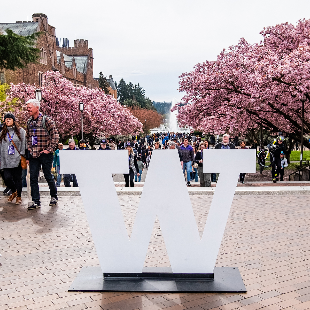 Spring is a beautiful time in the Pacific Northwest! What better time to note that the UW Department of Rehabilitation Medicine is hiring physiatrists, rehabilitation psychologists, occupational therapists, and more. See all roles at: ap.washington.edu/ahr/academic-j…