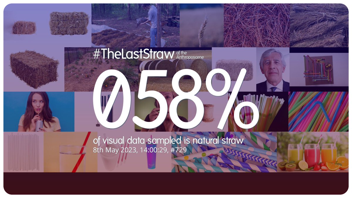 8th May 2023, 14:00:29, #729

58% of visual data sampled is natural straw.

#TheLastStraw #anthropocene #visualanalysis #countdown