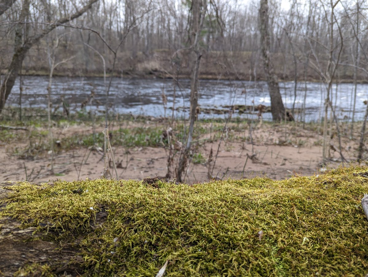 Spent the weekend mostly naked with a lovely friend in this magical place and it was much, much needed. Not many photos because the deer ticks were out in force, and it rained a lot, but the cabin was cozy ❤️