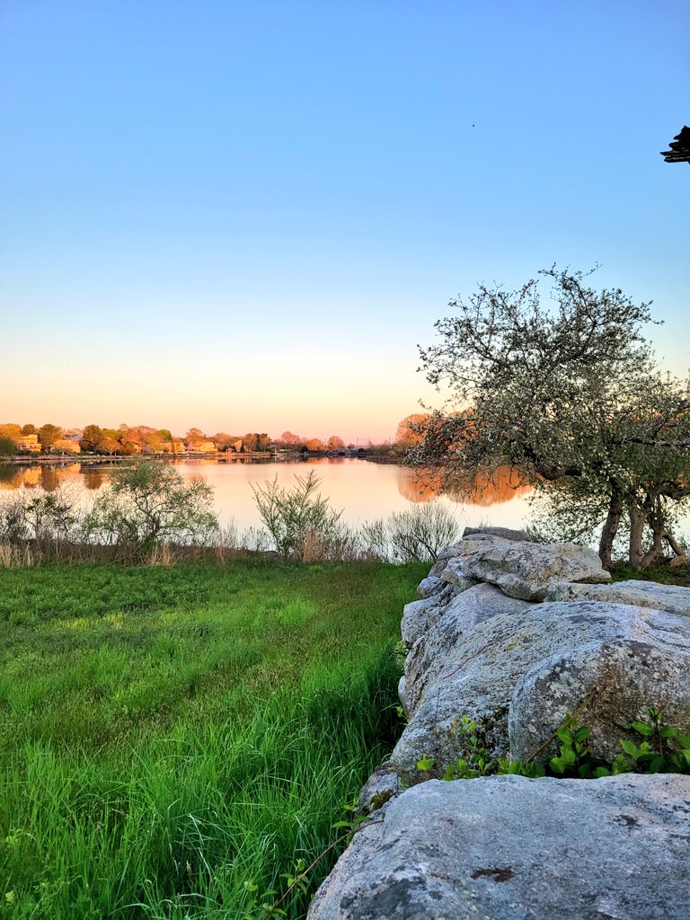 SgtHamSteak's tweet image. Gm, find a way to start the week with "Win" ☕️☀️