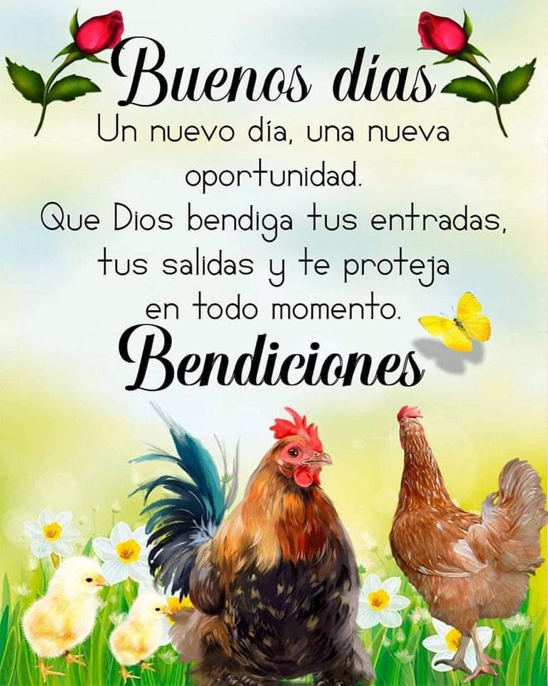 bettyresendizg's tweet photo. Excelente inicio de semana 🙏 https://t.co/TeA8WaXhRt