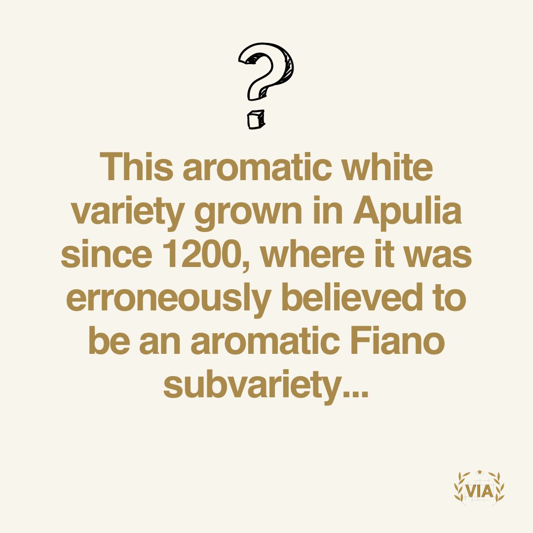 VinitalyTour's tweet photo. Such a long history for this 🇮🇹 #nativegrape! any guesses on what grape we're referring to?
Source: Italian Wine Unplugged 2.0 @ItalianWineBook
#VIA #vinitalyacademy #italianwine #grapequiz #italiangrape https://t.co/uu7Op5pv0p